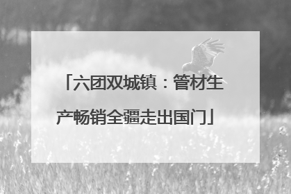 六团双城镇：管材生产畅销全疆走出国门